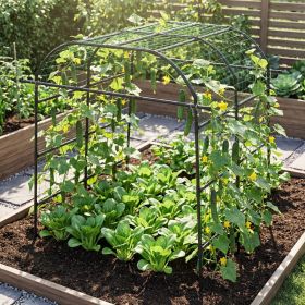 7.5 FT Tall Metal Garden Arch Trellis for Climbing Plants Outdoor